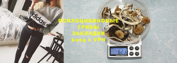 ECSTASY Заводоуковск