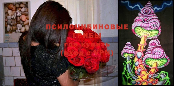 СК Заволжье